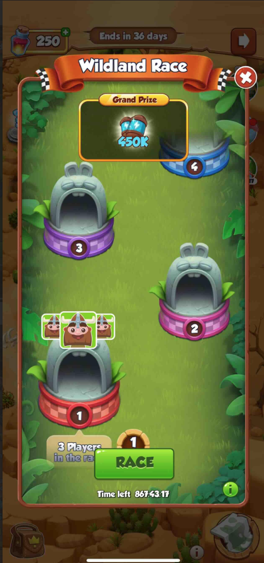 Race Main Page.png